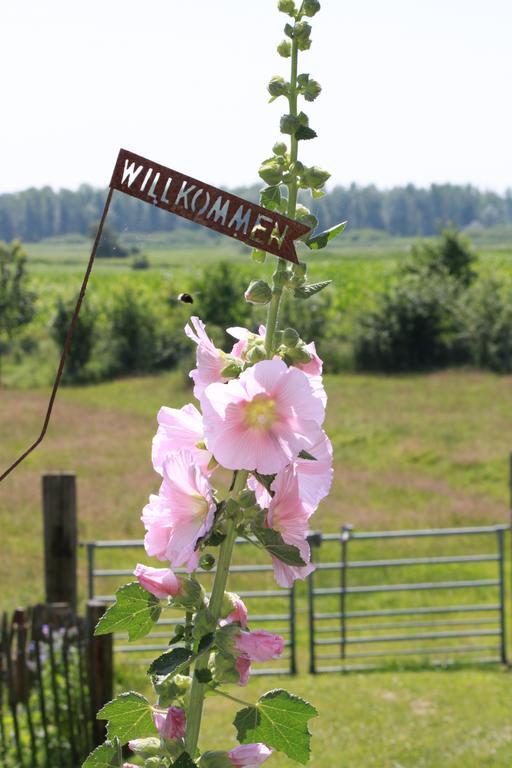 Ferienwohnung Vogelsang Suderhoft ภายนอก รูปภาพ